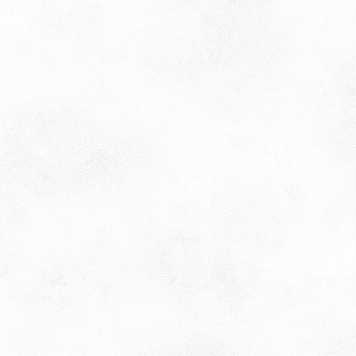 Płytka ścienno-podłogowa PLANET 60X60 R12 White Peronda